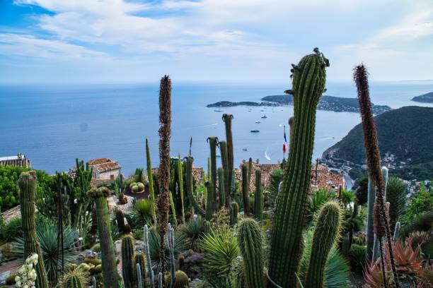 View of Mediterranean sea from the hill top town of Eze in France stock photo