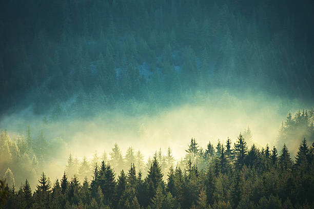view of misty fog mountains in autumn - extreem terrein stockfoto's en -beelden