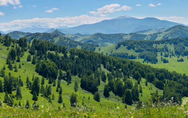 View of mountains covered with green forest View of mountains covered with green forest. Spring landscape. altai mountains stock pictures, royalty-free photos & images