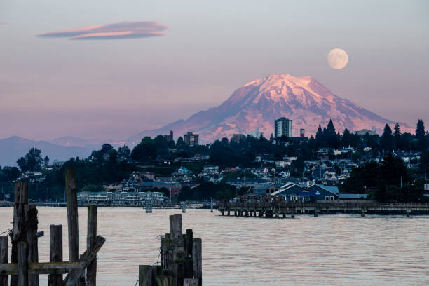View of Mt. Rainier at Sunset Along the Waterfront Sunset at Mt. Rainier, WA, USA mt rainier stock pictures, royalty-free photos & images