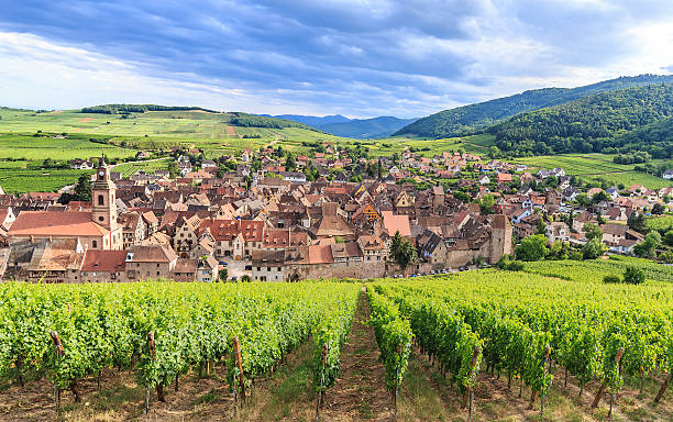 View of Riquewihr village in Alsace Panorama View of Riquewihr village in Alsace, France lorraine stock pictures, royalty-free photos & images