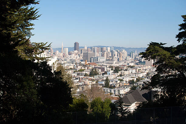 View of San Francisco from a forest stock photo
