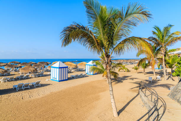 A view of sandy El Duque beach with tropical palm trees in Costa Adeje town, Tenerife, Canary Islands, Spain stock photo