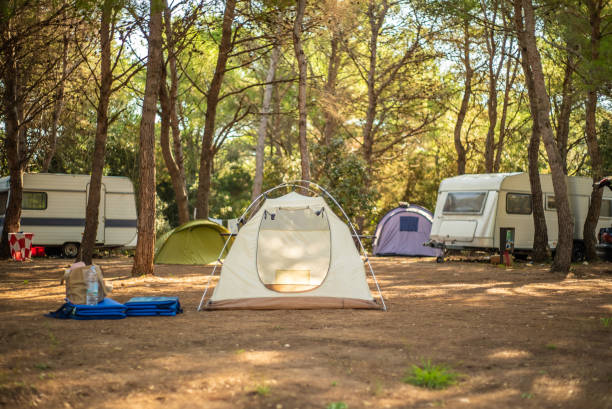 vy över tält på campingen. - camping tent bildbanksfoton och bilder