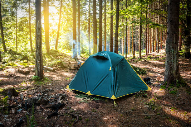 View of tent on meadow in forest at sunrise. Tourist tent in forest with sunbeams at campsite. stock photo