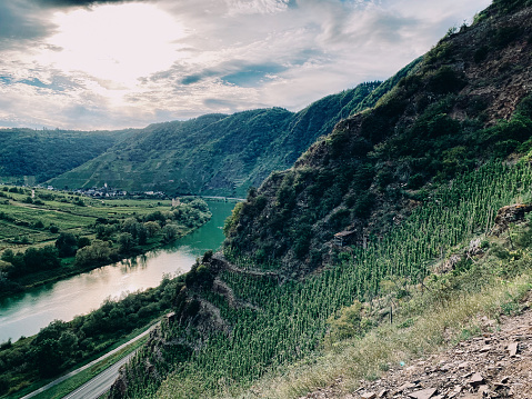 View of the river, vineyards and the Mosel Valley