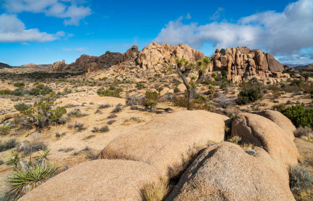 View of the Rock Formations at Joshua Tree National Park stock photo