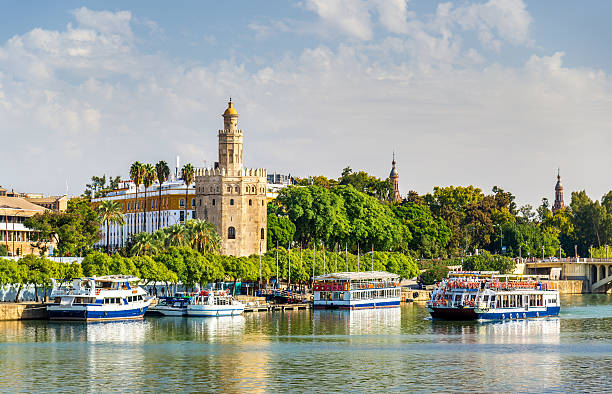 view of the torre del oro, a tower in seville - sevilla 個照片及圖片檔