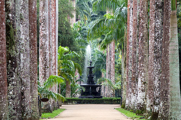 A view of the water fountain at the Jardim Botanico Water fountain at Jardim Botanico (Botanic Garden) at Rio de Janeiro. botanical garden stock pictures, royalty-free photos & images