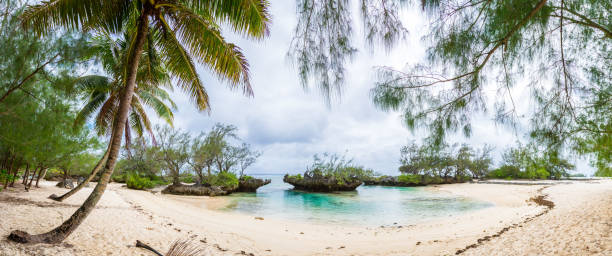 View of yellow white sandy tropical beach under palm trees in a secluded bay with coral rocks. Rimatara island, French Polynesia, Oceania stock photo