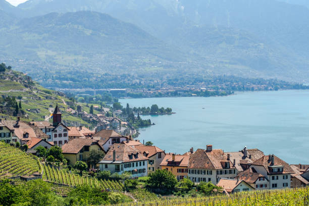 View on a little winery village called Rivaz, Lavaux Switzerland stock photo
