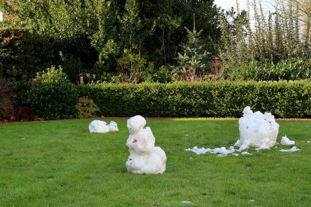 view on melting snow man on a lawn in niederlangen emsland germany view on melting snow man on a lawn in niederlangen emsland germany photographed in winter at a fantastic day melting snow man stock pictures, royalty-free photos & images