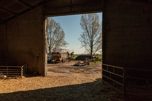 Looking out of a barn in Amsterdam, Netherlands
