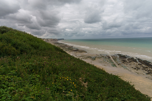 View over green bushes and wild meadow at white cliffs with beach on a cloudy day during low tide in Veules les Roses, Normandy, France