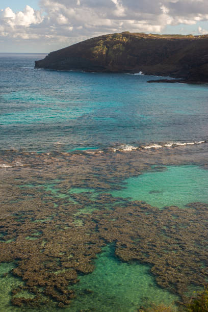 vue sur hanauma bay marine preserve hawaii - hanauma bay photos et images de collection