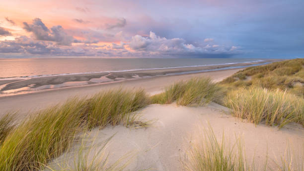 uitzicht over de noordzee vanuit dune - nederland strand stockfoto's en -beelden
