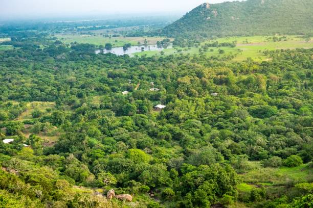 View over sri lankan green landscape stock photo