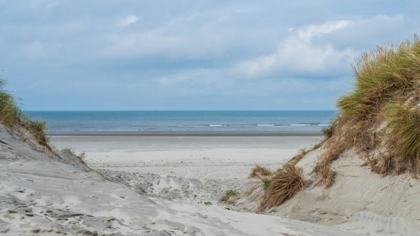 uitzicht over de duinen van ameland, holland - nederland strand stockfoto's en -beelden