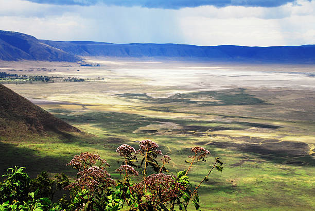 View over the Ngorongoro crater,Tanzania The world's largest unbroken caldera,home to the "big five".The crater is 610 m deep and 260 m squared. Sun is shining through the clouds. volcanic crater stock pictures, royalty-free photos & images