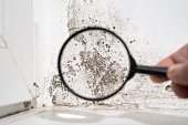 istock view through a magnifying glass white wall with black mold. 1304694347