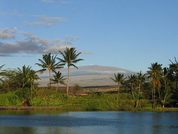 View to Mauna Kea  mauna kea stock pictures, royalty-free photos & images