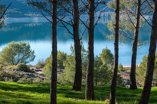 views of buendia reservoir - buendia stok fotoğraflar ve resimler