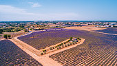 Scenic landscape with aerial view of a purple lavender field and a village with horizon over land in the background, Valensole, Provence, France