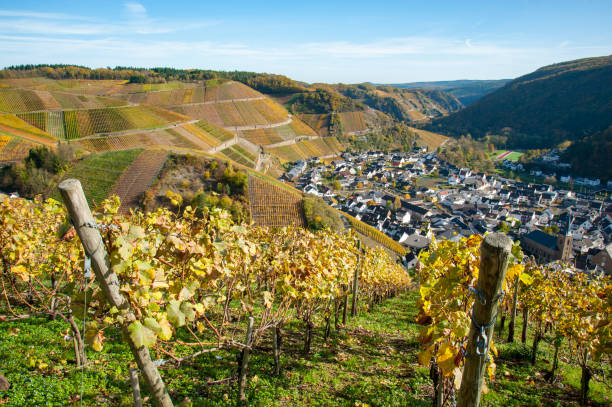 Village of Dernau, Ahr Valley, Rhineland Palatinate, Germany stock photo