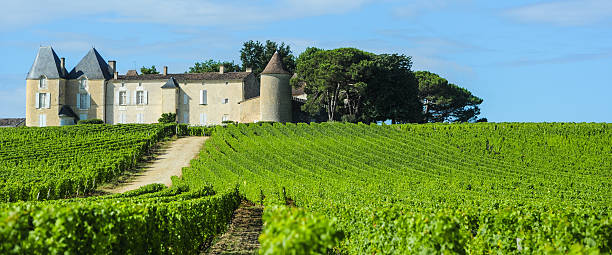 Vineyard and Chateau d'Yquem, Sauternes Region, Aquitaine, Franc Vineyard and Chateau d'Yquem, Sauternes Region, Aquitaine, France bordeaux photos stock pictures, royalty-free photos & images