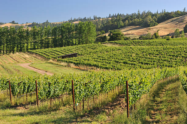 Anderson Valley, California Wineries