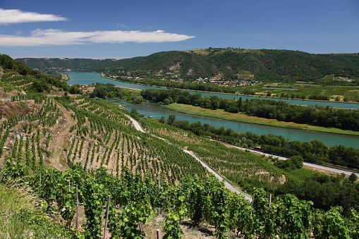 Vineyard Vignes Chapelle Rhone Valley Côtes du Rhône Drôme Provence France