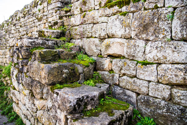 de muur en de trap van de wijngaard die van eenvoudige natuurlijke stenen met mos en groene installaties worden gemaakt - old stone stair stockfoto's en -beelden