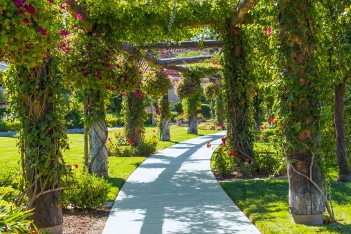 Garden area of vineyard in Temecula, California