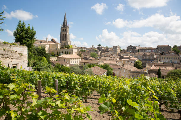 vignobles au centre ville de saint emilion, france - bordeaux photos et images de collection