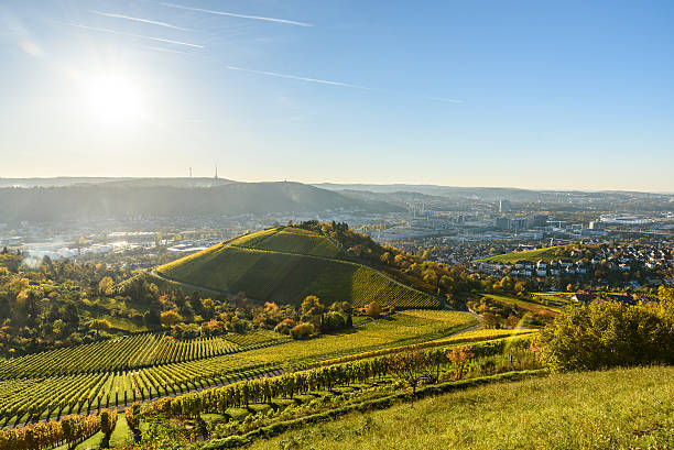 Vineyards at Stuttgart - beautiful wine region Vineyards at Stuttgart - beautiful wine region in the south of Germany baden württemberg stock pictures, royalty-free photos & images