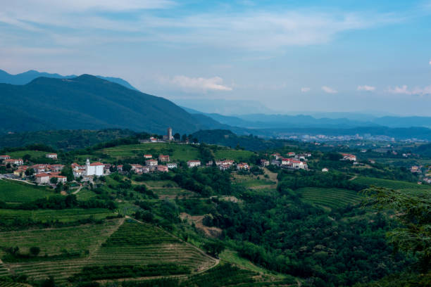 Vineyards in Goriska Brda - Slovenia's wine region stock photo