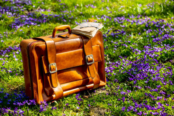 Vintage bag and old books with glasses on a meadow with purple flowers stock photo