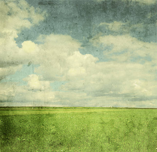 Vintage image of green field and blue sky stock photo
