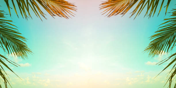 Vintage palm trees. Vintage palm trees. desert oasis stock pictures, royalty-free photos & images