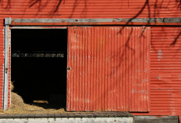 vintage retro bright red metal farm barn loading dock door open with livestock feed hay and tree shadows as agricultural architectural scene stock photo