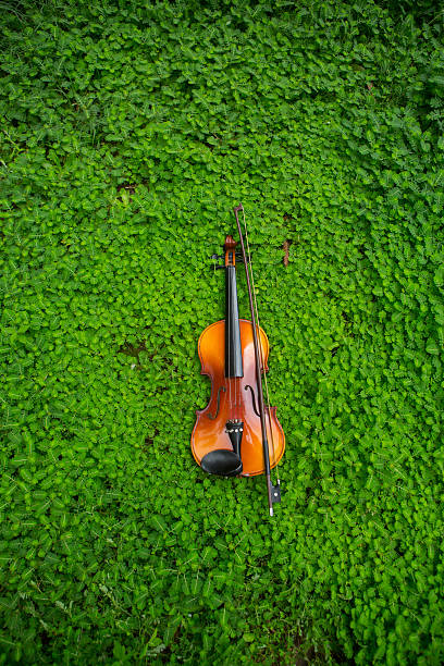 Violin in Nature stock photo