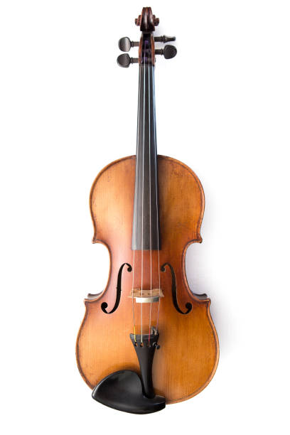violine isoliert auf weiss - geige stock-fotos und bilder