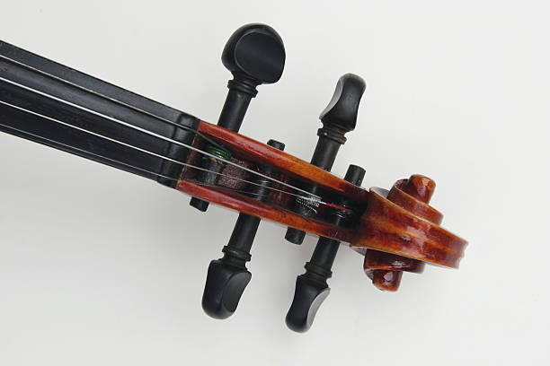 Violin scroll and pegs stock photo
