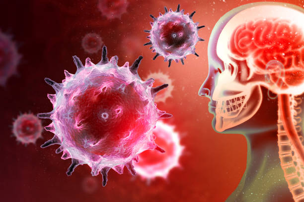 Virus or bacteria attacking the human brain. Viral disease. 3d illustration Virus or bacteria attacking the human brain. Viral disease. 3d illustration parasitic stock pictures, royalty-free photos & images