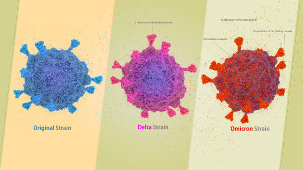 covid-19 바이러스 sars-cov-2 원래스트레인, 델타 및 omicron 균주 비교, covid-19 b.1.529 omicron - omikron 뉴스 사진 이미지