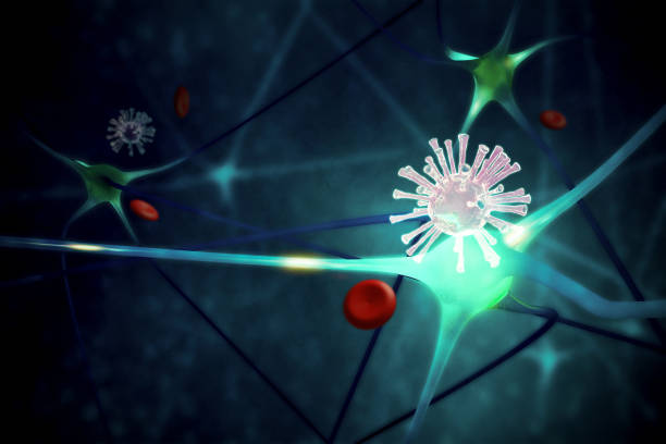 virus spreading with neuron cell. virus spreading with neuron cell. 3D illustration rendering central nervous system stock pictures, royalty-free photos & images