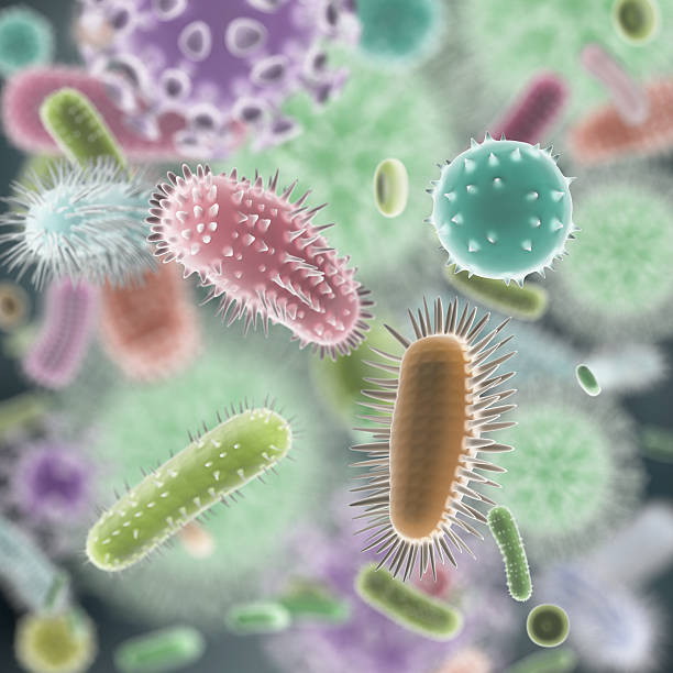Viruses and Bacteria XL+ stock photo