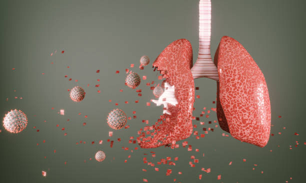 Viruses attacking to human lung stock photo