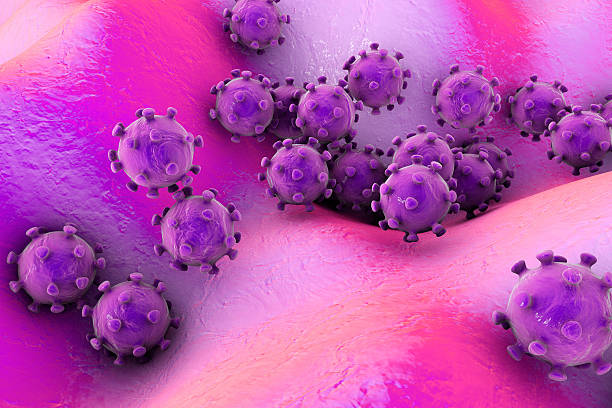 Viruses infecting human cells Viruses on the surface of skin or mucous membrane, 3D illustration electron microscope stock pictures, royalty-free photos & images