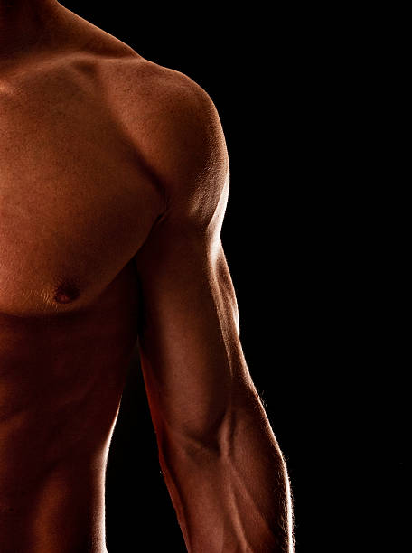 Vivid Male Bodybuilder stock photo